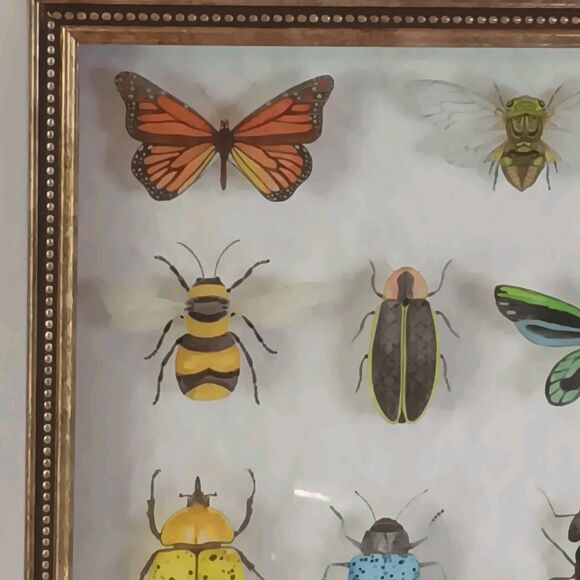 Bug Collection Framed Wall Art Print Butterflies & Insects Kirklands 15" X 11.5" - Picture 13 of 16